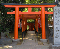 Ueno Park 